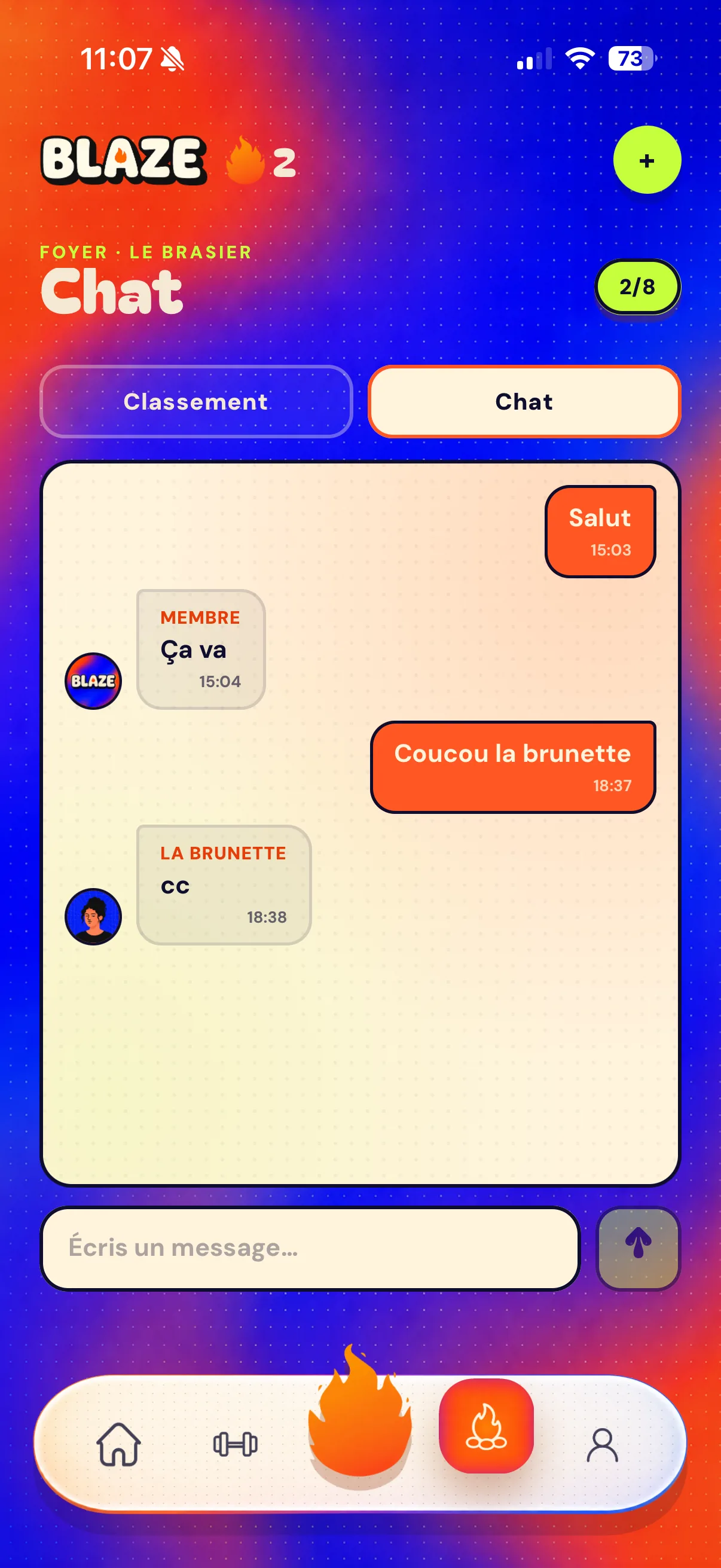 Chat du foyer BLAZE